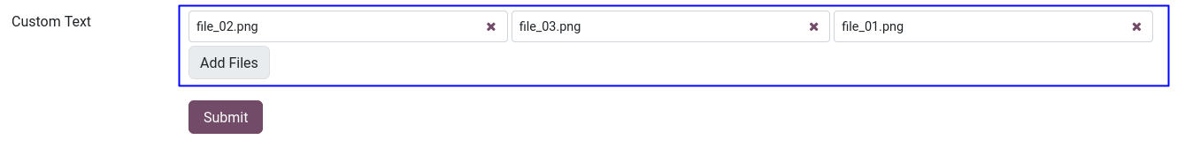 Odoo 17: Form multiple files upload