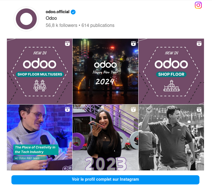 Odoo 17: Instagram feed