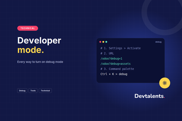 
                Developer Mode (debug mode)
            